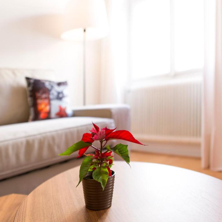 Next2Mozart-Apartment - Appartamento con 1 Camera da Letto - 23
