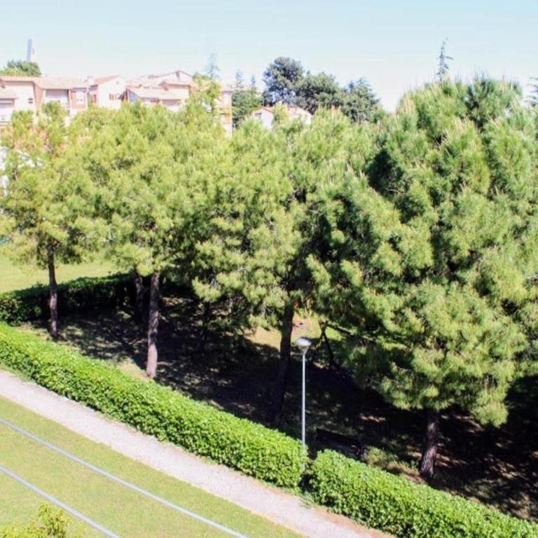 Apartment with balcony and parking space - Appartamento con 2 Camere da Letto - 19