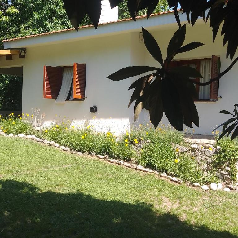 Otto's Haus - Two-Bedroom House - 5