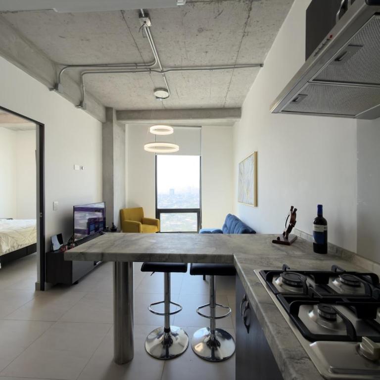 Suite Ejecutiva con Vistas y Estacionamiento - One-Bedroom Apartment - 21