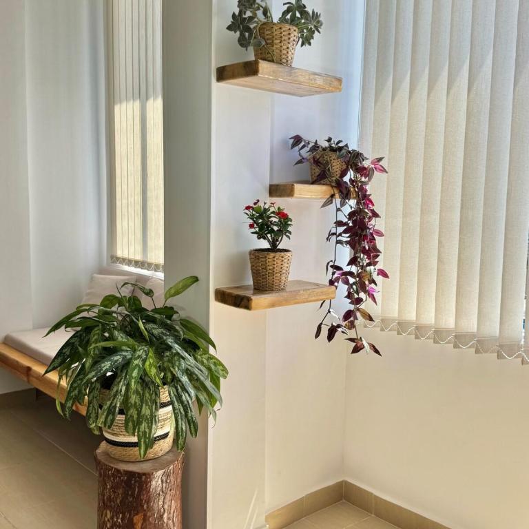 Nomad Darien Naturaleza Diseño y Armonia - Apartamento de 2 dormitorios con balcón - 23