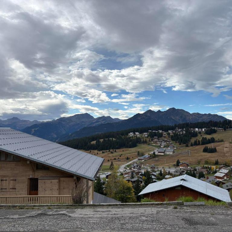 Les Saisies: Appt T2 cabine cosy, 6 pers, proche Légette - Apartment mit 1 Schlafzimmer - 9