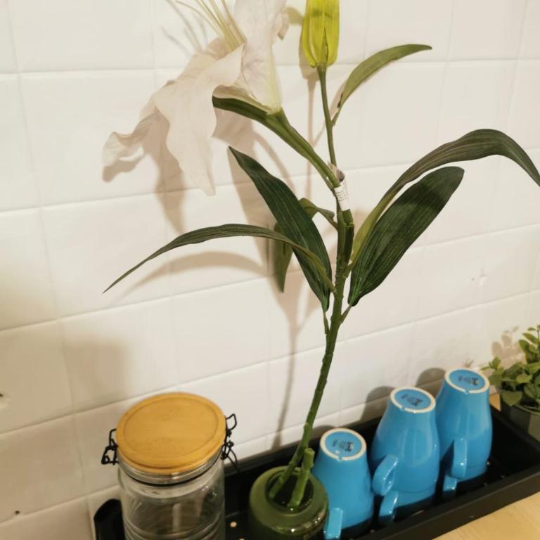 Suite Conexión GDL línea 1 Urdaneta - Apartamento de 1 dormitorio - 3