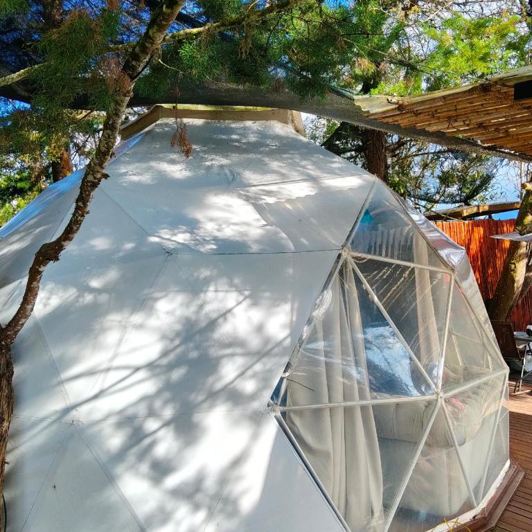 Omghat Glamping - Domo Ganesha - Deluxe King Room - 1