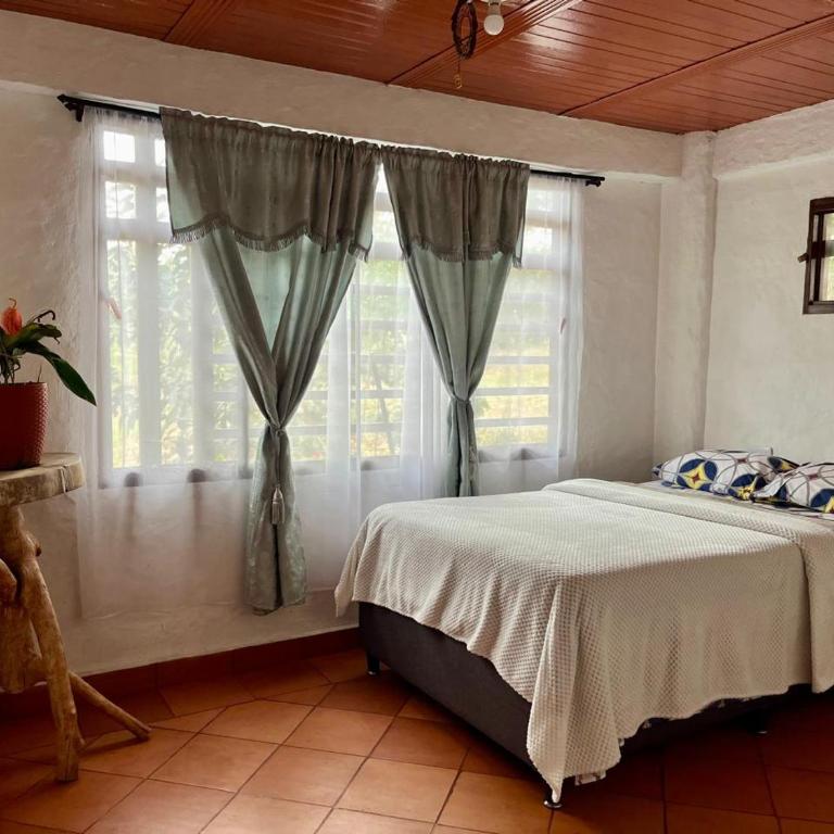 Waka Marú Guest House - Standard Double Room - 7