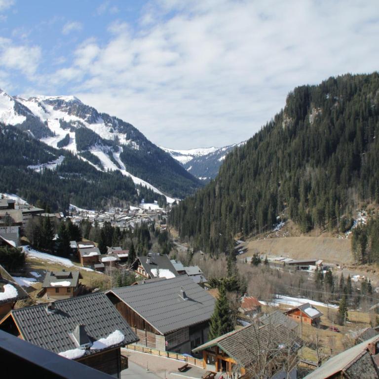 Duplex in Chatel near Cable Car & Valley Views - Appartement 2 Chambres - 16