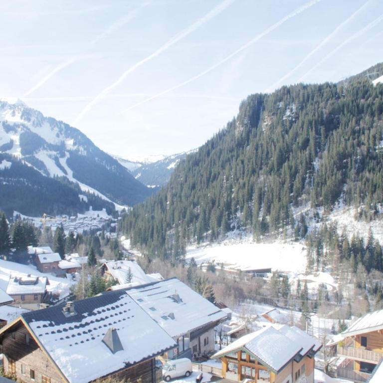 Duplex in Chatel near Cable Car & Valley Views - Appartement 2 Chambres - 18