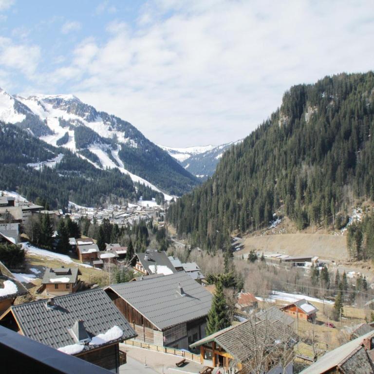 Duplex in Chatel near Cable Car & Valley Views - Appartement 2 Chambres - 19