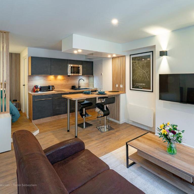Studio neuf et moderne centre historique - One-Bedroom Apartment - 1