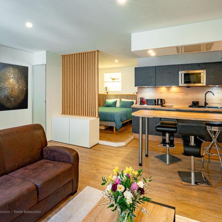 Studio neuf et moderne centre historique - One-Bedroom Apartment - 2