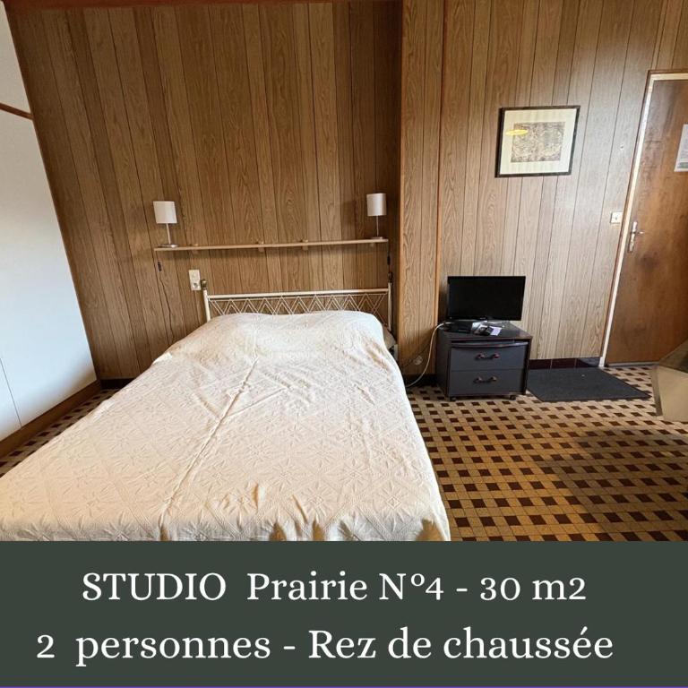 Villa Prairie Mont-Dore Appartements - Studio Standard - 3