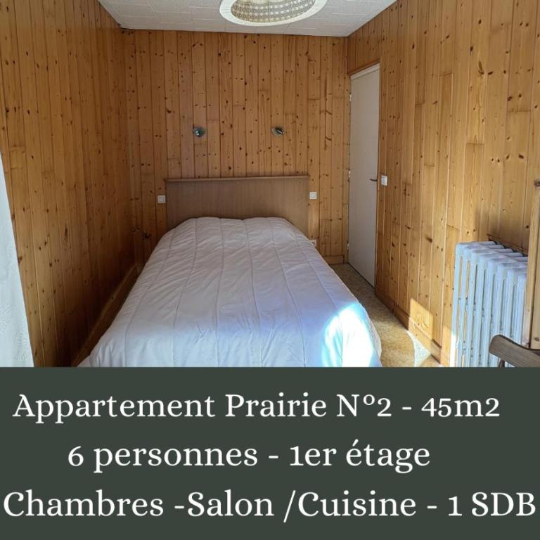 Villa Prairie Mont-Dore Appartements - Appartement 2 Chambres - 1