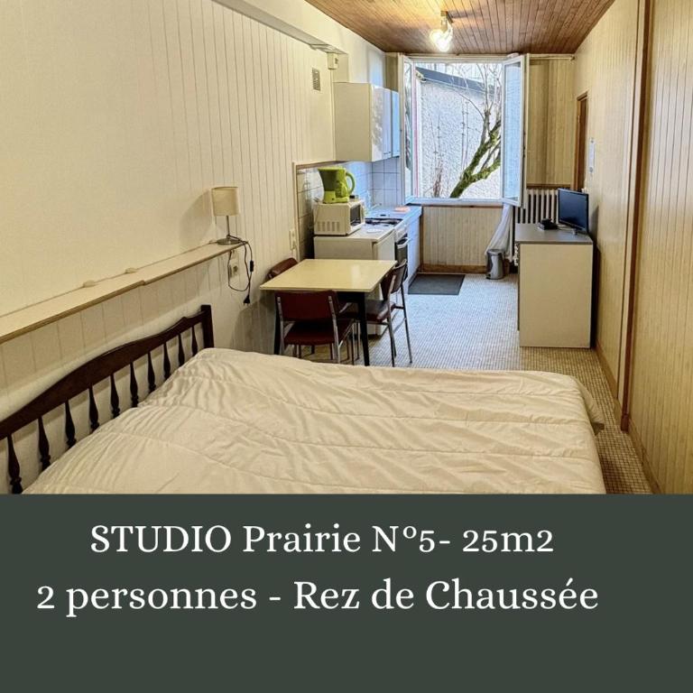 Villa Prairie Mont-Dore Appartements - Studio - 3