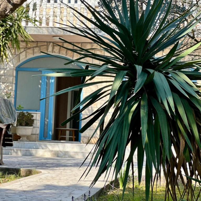 Palm Garden Apartment 2 - One-Bedroom Apartment - 24