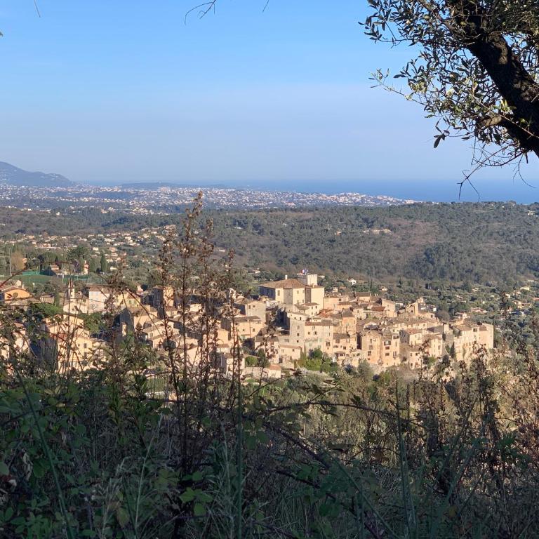 Terrasse panoramique Vieille ville à pied - Studio - Vue sur Montagne - 19