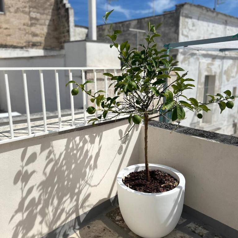 Palazzo Gargano - Appartamento con 2 Camere da Letto - 7