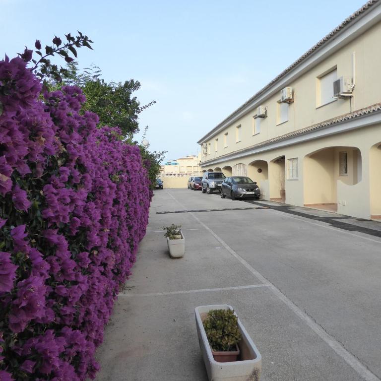 Esmeralda 2 dormitorios by Bookindenia - Apartamento de 2 dormitorios - 10