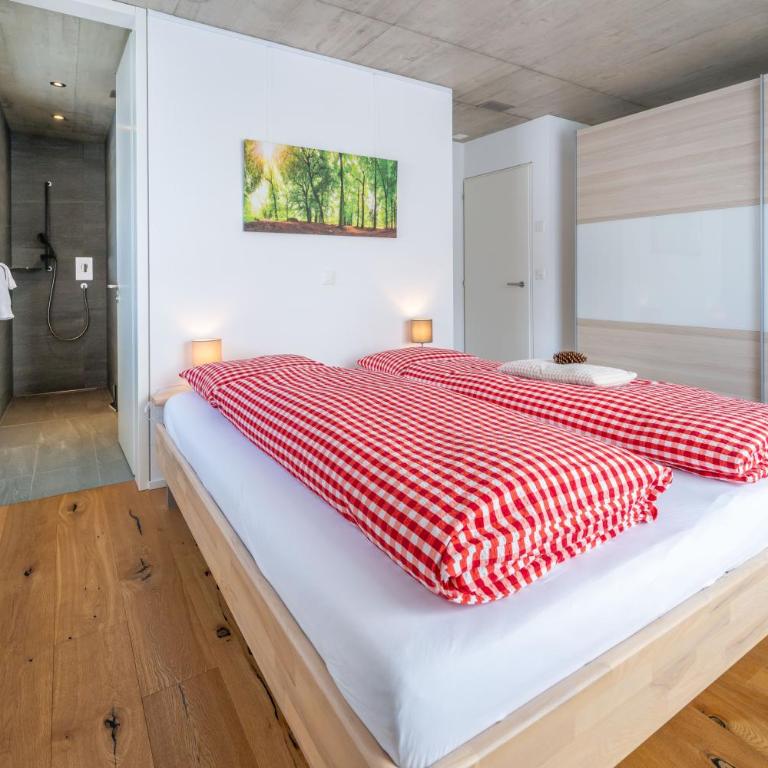 Schwarzhornblick - Appartamento con 1 Camera da Letto - 6