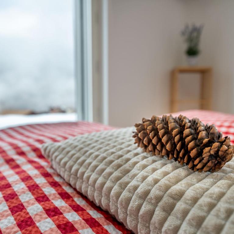 Schwarzhornblick - Appartamento con 1 Camera da Letto - 12