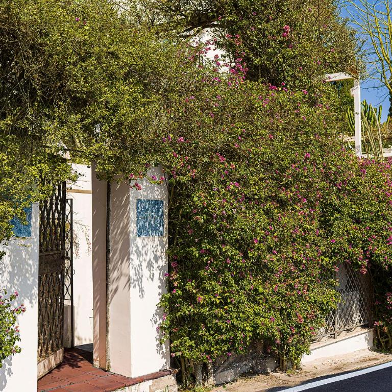 Villa Luna Rossa, Capri - Appartamento - 19
