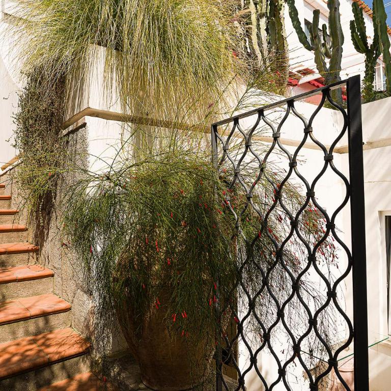 Villa Luna Rossa, Capri - Appartamento - 21