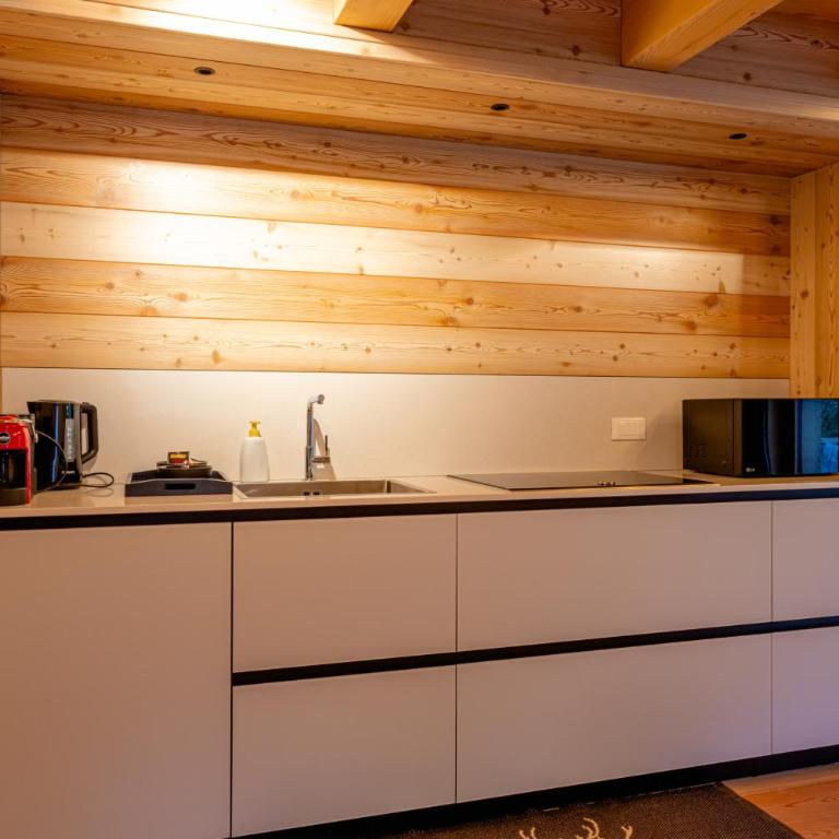 The Dreaming Home Dolomiti - Appartamento 1 con 1 Camera da Letto - 15