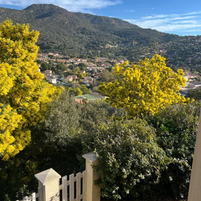 Ou Souleou appartement 3 étoiles dans villa Spa béton jardin vue mer et colline - Apartamento de 2 dormitorios con vistas - 22
