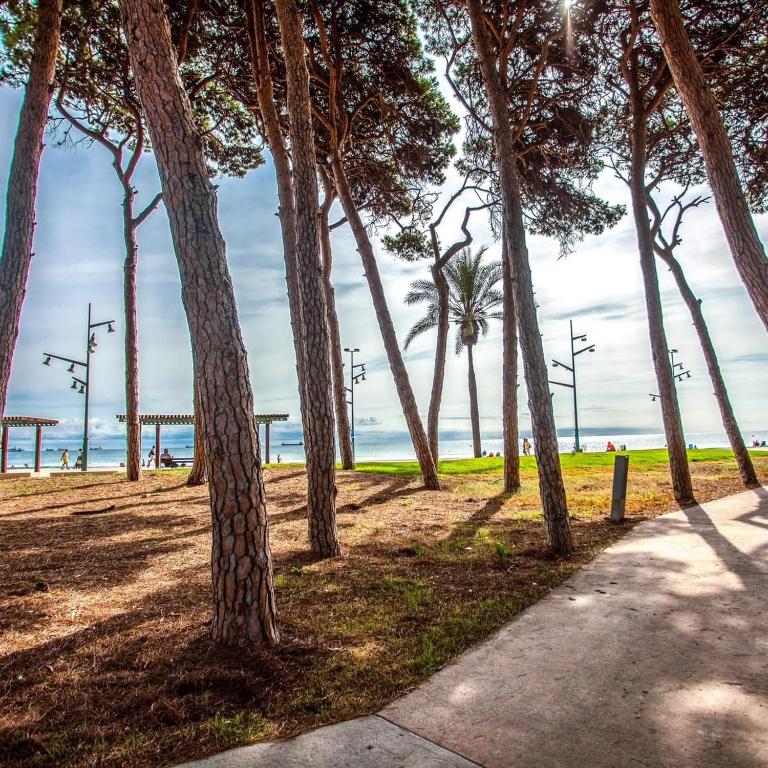APARTBEACH GINETTE DUPLEX VISTAS MAR - Apartamento - 51