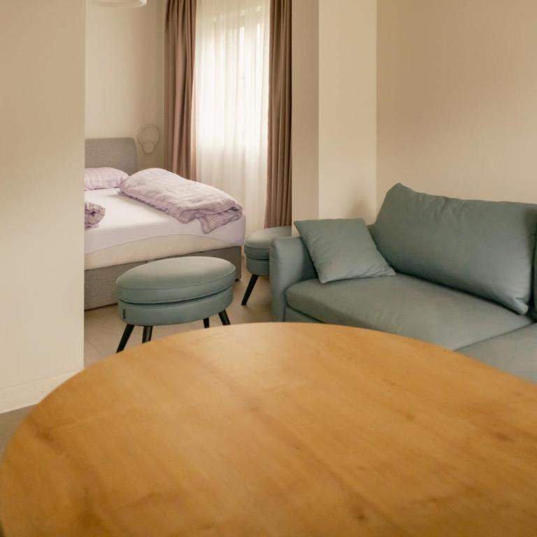 ViSi apartments - Porodični Studio - 38