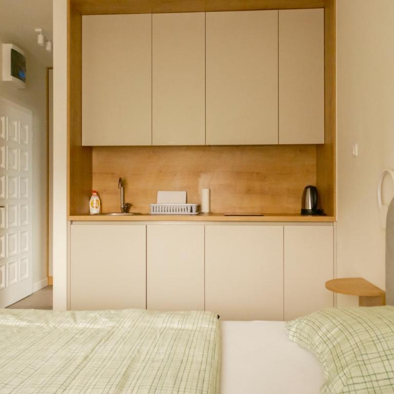 ViSi apartments - Deluks Studio sa Bračnim Krevetom (King-size) - 1