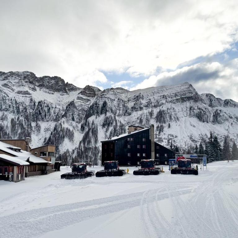 Valles Vacanze - ski in & ski out - Monolocale Standard - 11