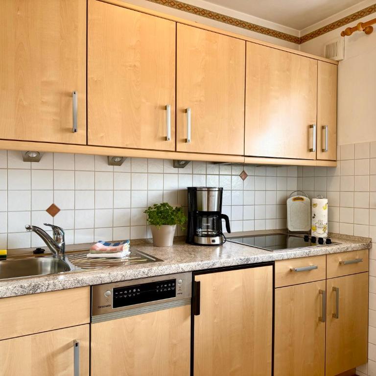 Ferienhaus Cosima - Appartamento con 1 Camera da Letto, Balcone e Vista Montagna - 4
