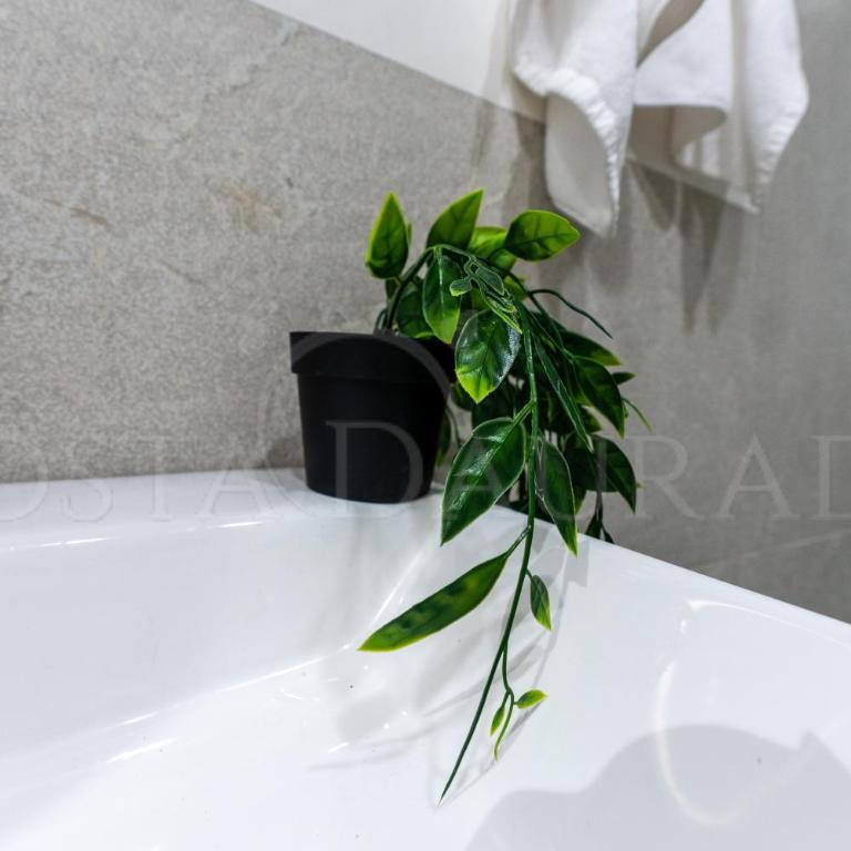 Calma mar - Two-Bedroom Apartment - 31