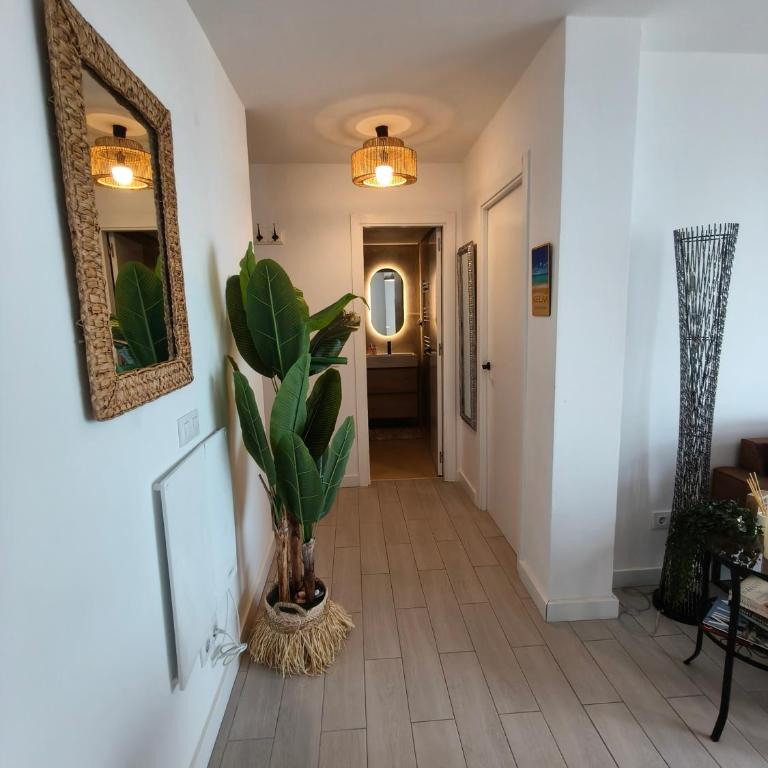 La Cigala - Apartamento de 2 dormitorios - 15