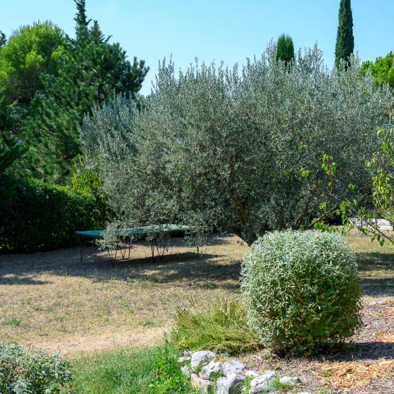 La Tarente - Bedoin - Mont Ventoux - 3 étoiles - Mas provençal - 8 à 10 personnes - Idéal famille ou cyclistes - Maison de Vacances 3 Chambres - 7