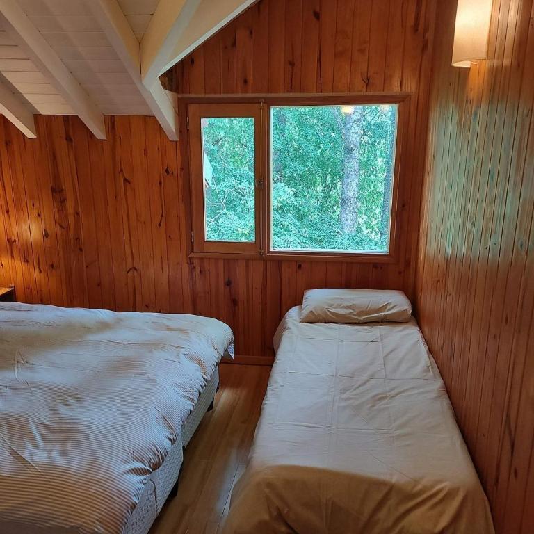 Cabaña rodeada de bosque nativo para 12 c parrilla - Bungalow - 62