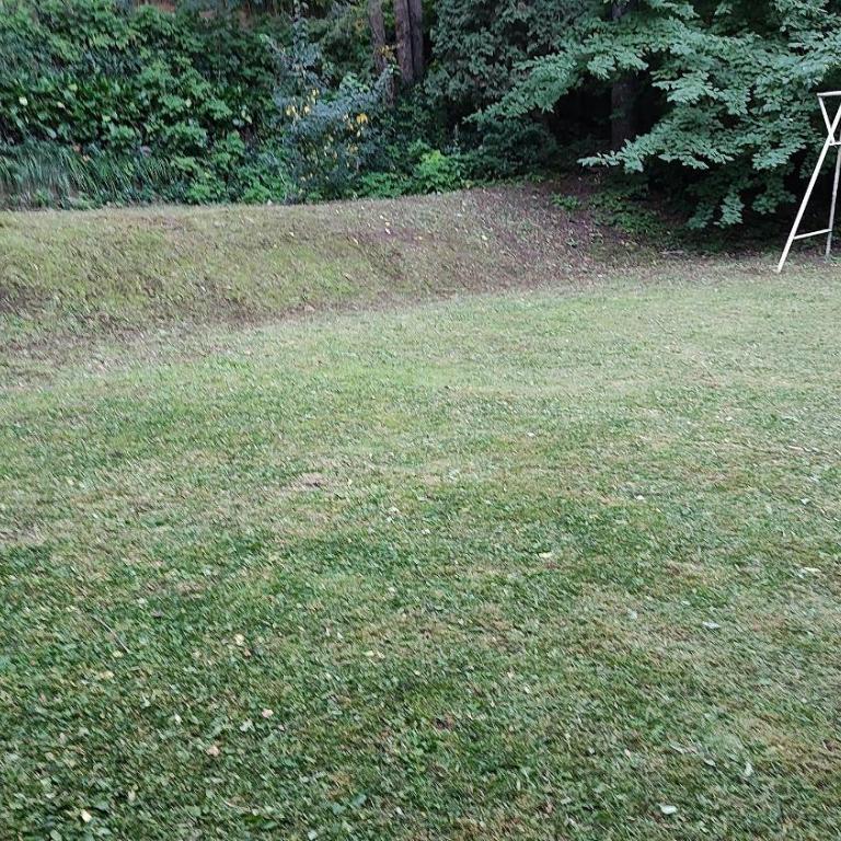 Cabaña rodeada de bosque nativo para 12 c parrilla - Bungalow - 65