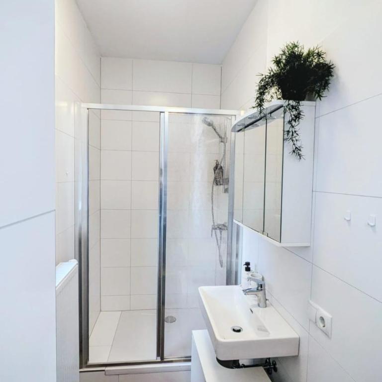 Apartment Trauninsel - Appartement 1 Chambre - 8