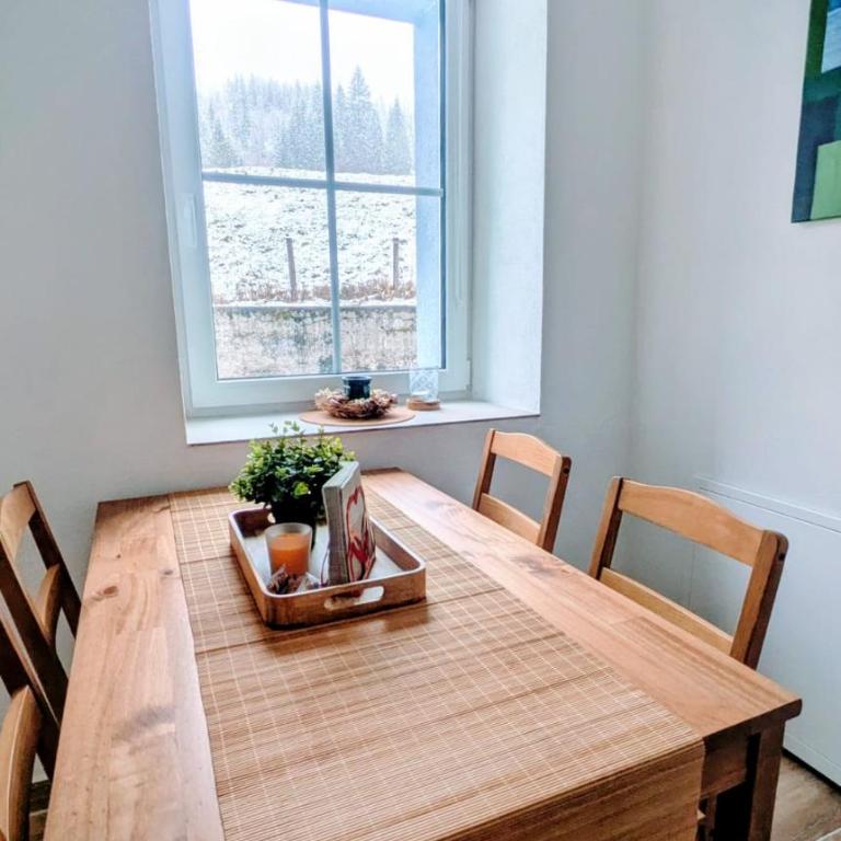 Apartment Trauninsel - Appartement 1 Chambre - 10