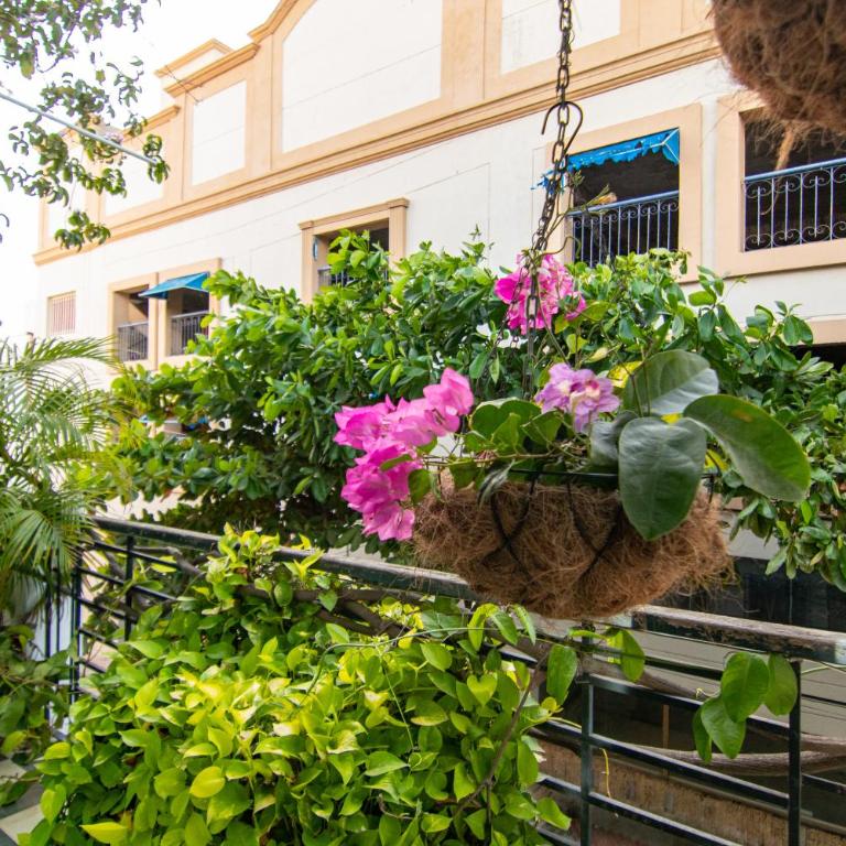 Casa La Bella Samaria Boutique - Habitación Doble con balcón y aire acondicionado - 17