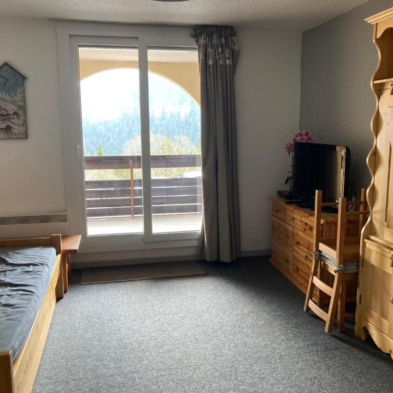 Studio cabine au pied des pistes - Appartement 1 Chambre - 1