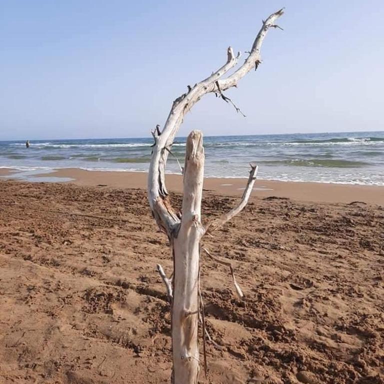 Suite do Mar Pozzallo Holidays house in front of the beach - Appartamento con 1 Camera da Letto - 30