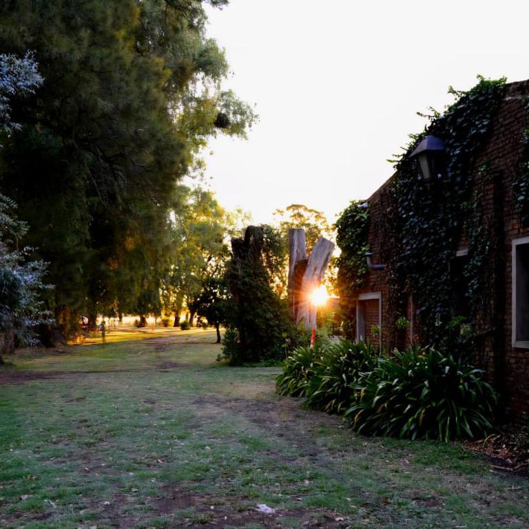La Angelita Oeste - Casa de 2 dormitorios - 33
