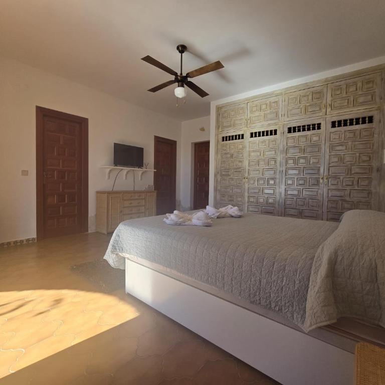 Hotel Cortijo de la luna - Habitación Doble - 3