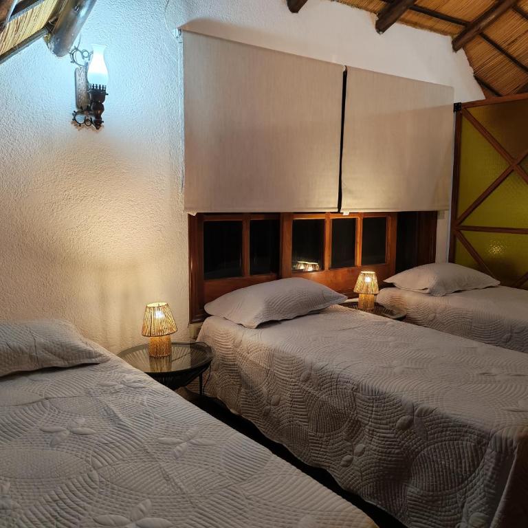 Chacra Monte Verde - Casa de 6 dormitorios - 21