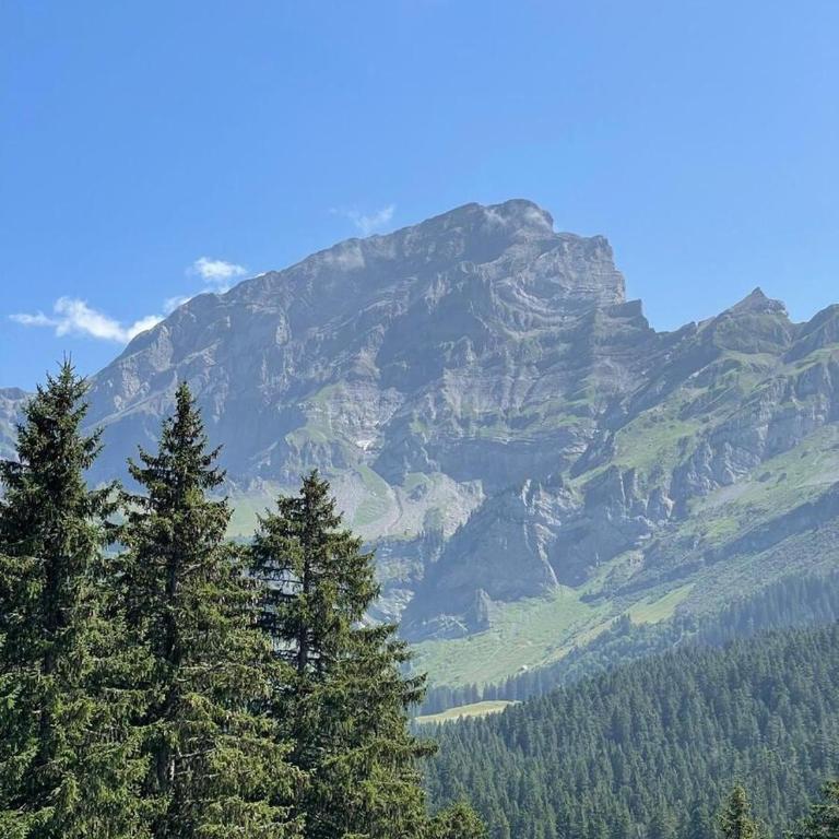 3 pièces lumineux avec vue sur les Alpes Suisses - Apartment mit 2 Schlafzimmern - 12