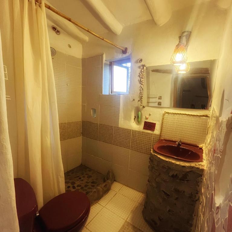 Las Chullpas - Habitación Individual con baño privado - 3