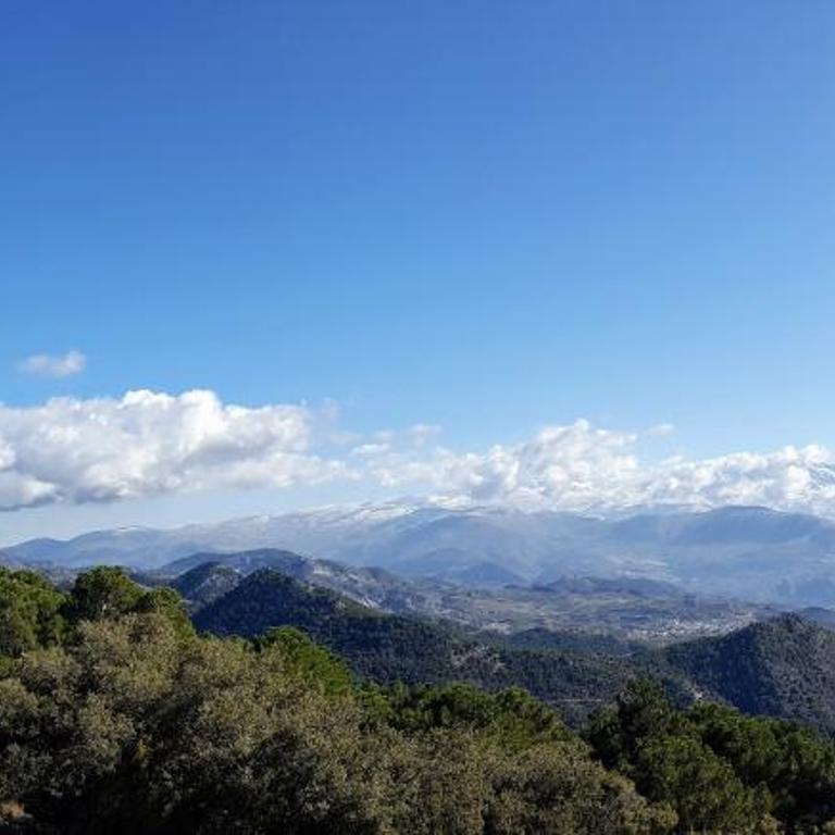 Casa Rural Cortijo Atalaya de Loaimes - Vacation Home - 71