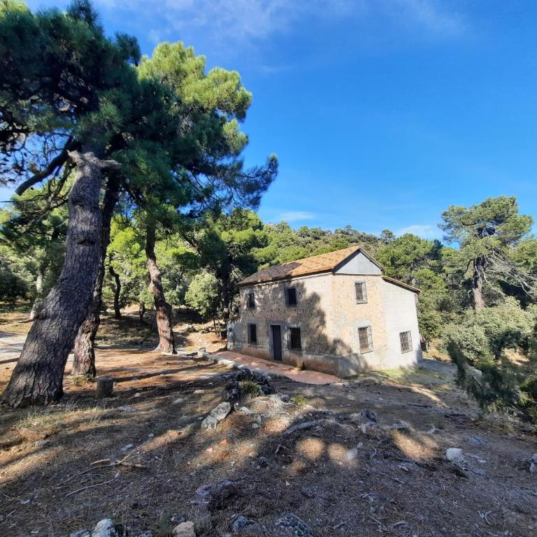 Casa Rural Cortijo Atalaya de Loaimes - Vacation Home - 80