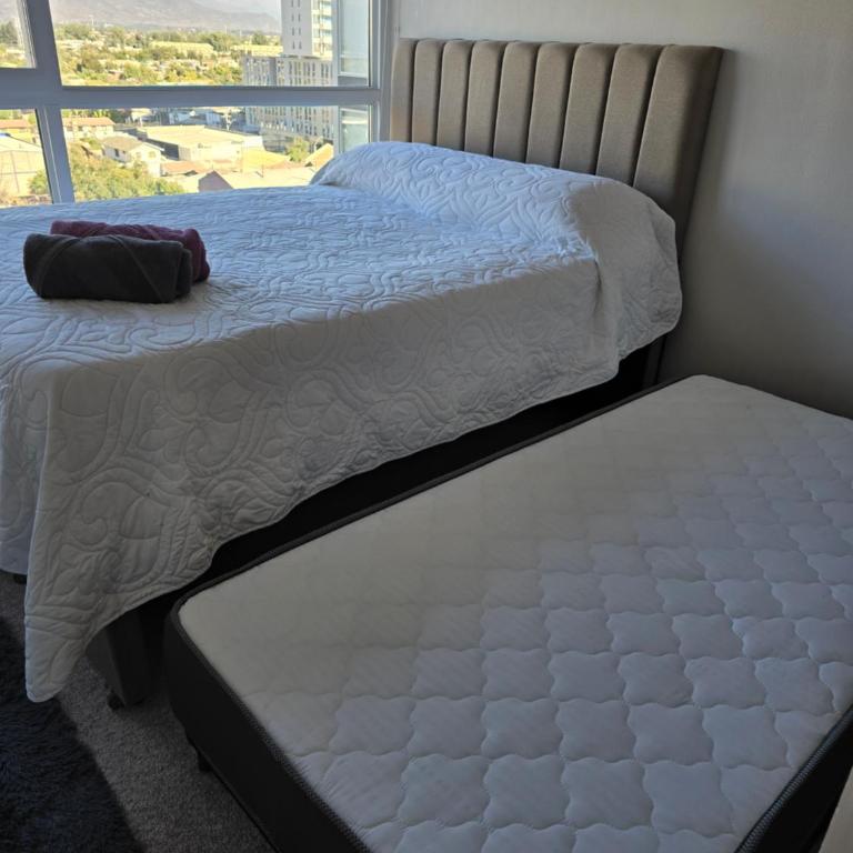Fabuloso y central Departamento 2 dormitorios - Apartamento de 2 dormitorios - 10